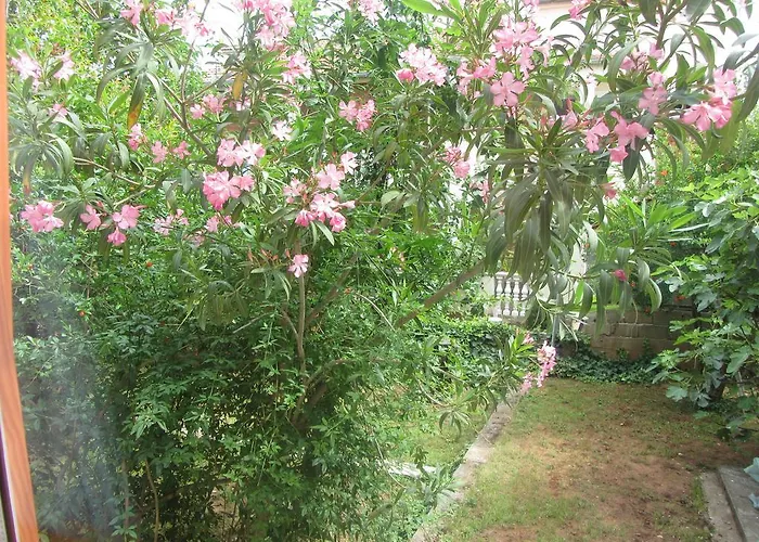 Karlo & Ema * Биоград-на-Мору